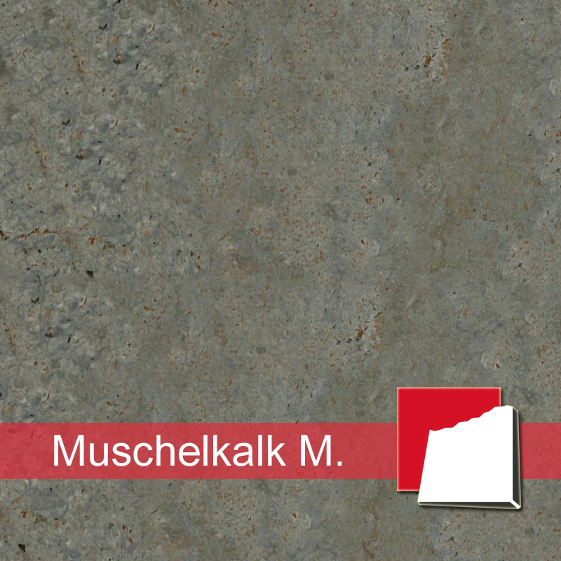 Naturstein Muschelkalk Moser: Marmor, Kalkstein