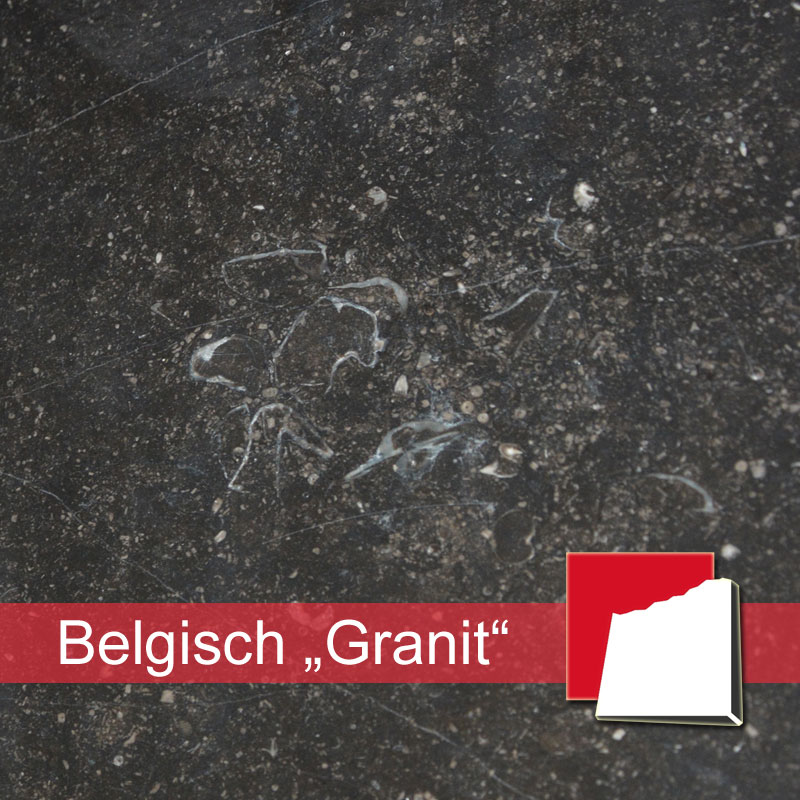 marmorfliesen belgisch granit